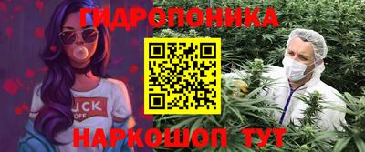 spice Гусь-Хрустальный