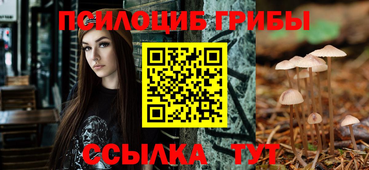 Губкинский  Псилоцибиновые грибы ЛСД  Галлюциногенные грибы MAGIC MUSHROOMS  Вход с VPN 